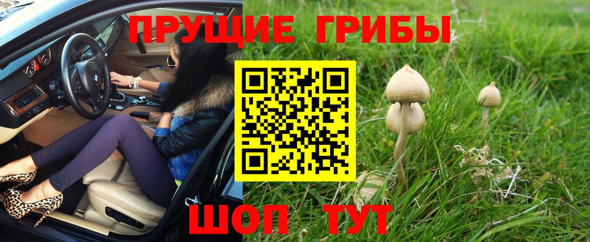 Хабаровск  Галлюциногенные грибы прущие грибы  Вход с VPN 